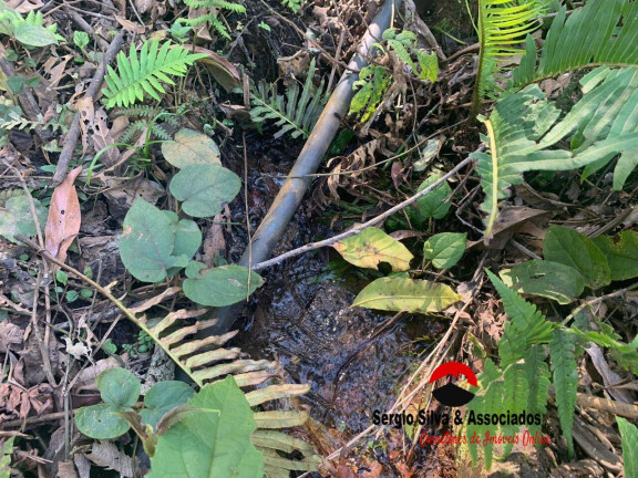 Imagem Terreno à Venda, 8 m² em Bairro Do Centro - Piranguçu Imagem Terreno à Venda, 8 m² em Bairro Do Centro - Piranguçu