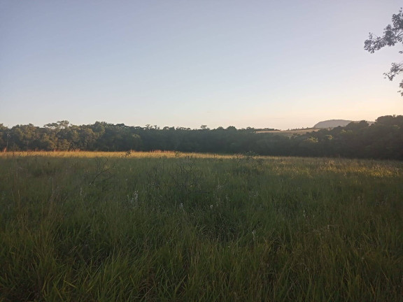 Imagem Chácara à Venda, 47.000 m² em Itapuã - Viamão Imagem Chácara à Venda, 47.000 m² em Itapuã - Viamão