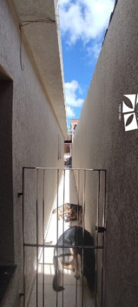 Imagem Casa com 3 Quartos à Venda, 209 m² em Jardim Cacique - Suzano