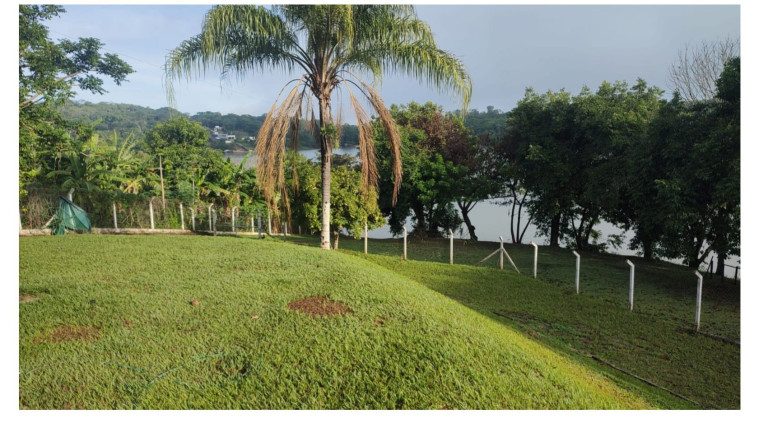 Imóvel com 5 Quartos à Venda, 7.000 m² em Centro - Uberlândia
