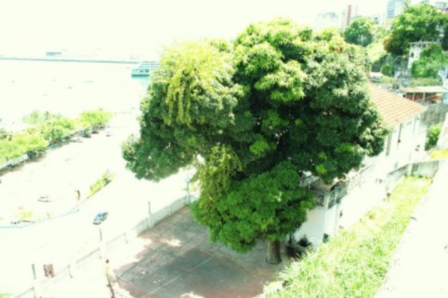 Imagem Terreno à Venda, 3.267 m² em Comércio - Salvador Imagem Terreno à Venda, 3.267 m² em Comércio - Salvador