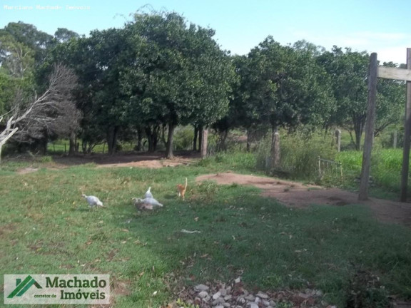 Imagem Imóvel à Venda, 200.000 m² em Rural - São Sepé Imagem Imóvel à Venda, 200.000 m² em Rural - São Sepé