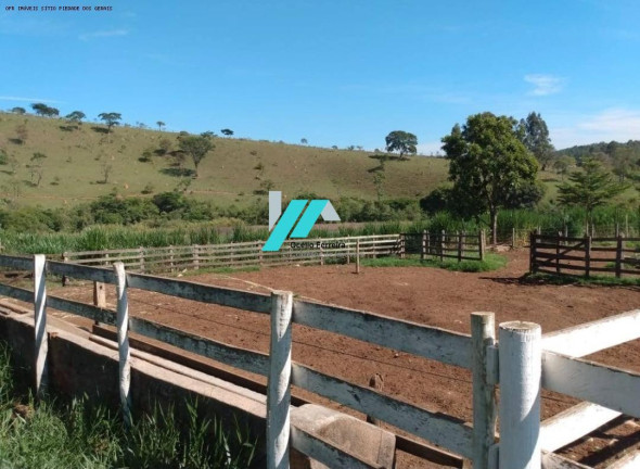 Imagem Fazenda à Venda, 200 m² em Zona Rural - Piedade Dos Gerais Imagem Fazenda à Venda, 200 m² em Zona Rural - Piedade Dos Gerais