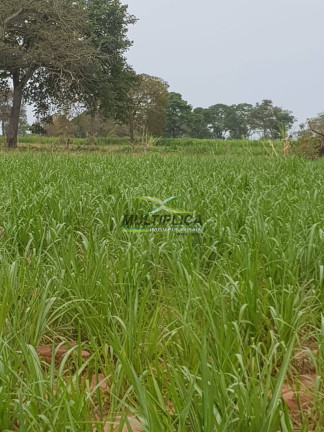 Imagem Fazenda à Venda, 101 m² em Iturama Imagem Fazenda à Venda, 101 m² em Iturama