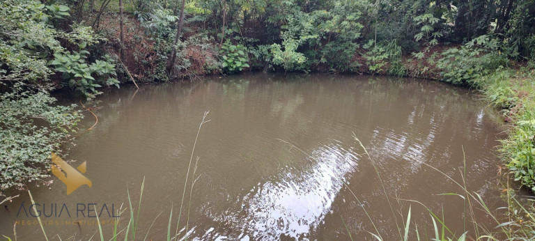 Imagem Chácara à Venda, 300 m² em Mata Do Segredo - Campo Grande Imagem Chácara à Venda, 300 m² em Mata Do Segredo - Campo Grande