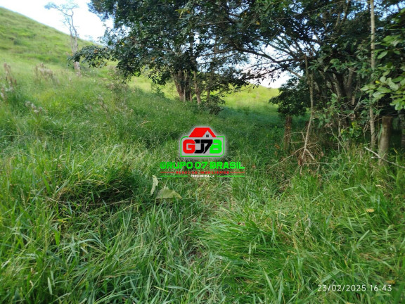 Imagem Chácara à Venda, 11 m² em Centro - Paraibuna Imagem Chácara à Venda, 11 m² em Centro - Paraibuna