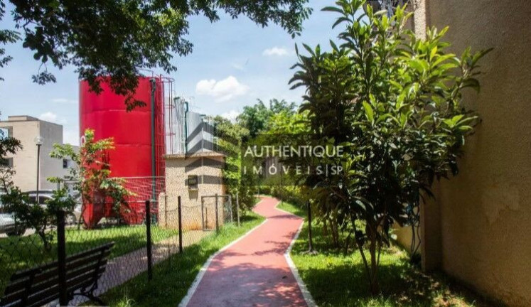 Imagem Apartamento com 3 Quartos à Venda, 57 m² em Jabaquara - São Paulo