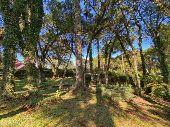 Imagem Casa com 3 Quartos à Venda, 35.747 m² em Bosque Sinoserra - Canela Imagem Casa com 3 Quartos à Venda, 35.747 m² em Bosque Sinoserra - Canela