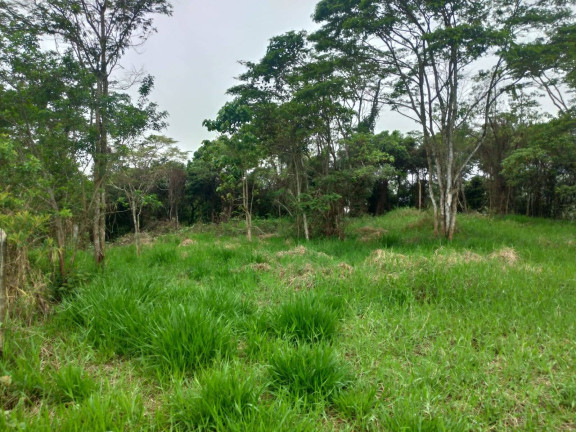 Imagem Terreno à Venda, em Ipiabas - Barra Do Piraí Imagem Terreno à Venda, em Ipiabas - Barra Do Piraí