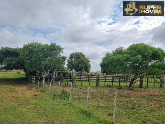 Imagem Imóvel com 2 Quartos à Venda, 14.700.000 m² em Quinta - Rio Grande Imagem Imóvel com 2 Quartos à Venda, 14.700.000 m² em Quinta - Rio Grande