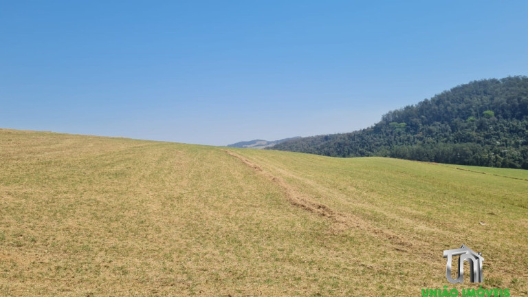Imagem Imóvel com 3 Quartos à Venda,  em Arara Dos Pereiras - Bragança Paulista