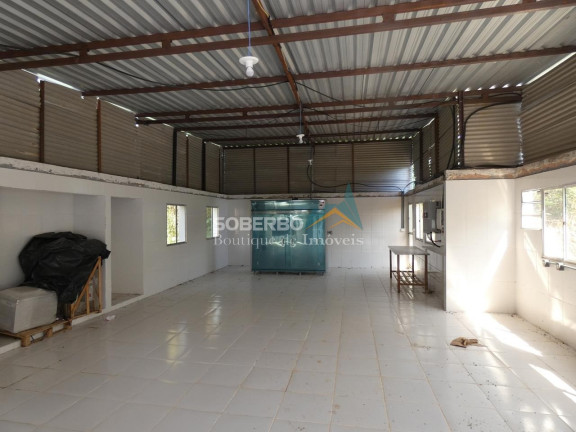 Imagem Imóvel com 3 Quartos para Alugar, 72.000 m² em Granja Mafra - Teresópolis