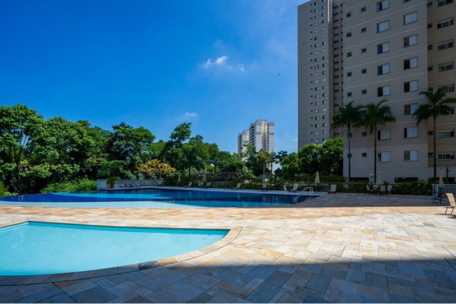 Imagem Apartamento com 3 Quartos à Venda, 145 m² em Vila Sônia - São Paulo Imagem Apartamento com 3 Quartos à Venda, 145 m² em Vila Sônia - São Paulo