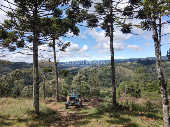 Imagem Terreno à Venda, 2.420 m² em Região De Descansópolis - Campos Do Jordão Imagem Terreno à Venda, 2.420 m² em Região De Descansópolis - Campos Do Jordão