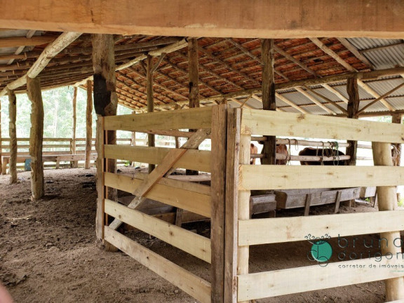 Imagem Imóvel com 3 Quartos à Venda, 250.000 m² em Zona Rural - Bom Retiro