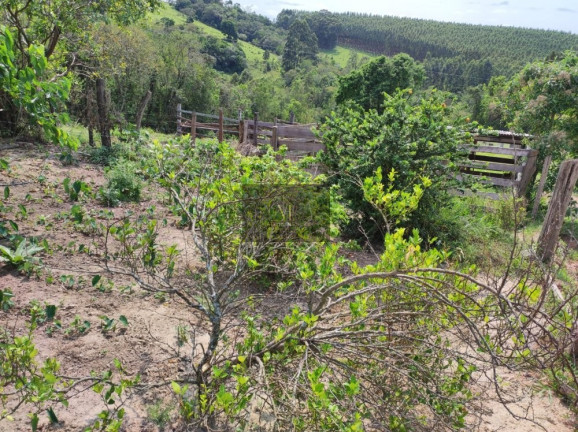 Imagem Chácara com 2 Quartos à Venda, 48.000 m² em água De São João - Wenceslau Braz