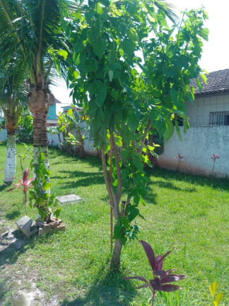 Imagem Casa com 1 Quarto à Venda, 50 m² em Vila Atlântica - Mongaguá Imagem Casa com 1 Quarto à Venda, 50 m² em Vila Atlântica - Mongaguá