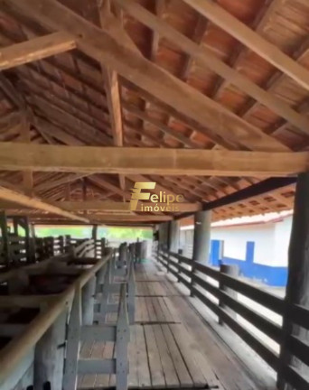 Imagem Imóvel com 1 Quarto à Venda, 183 m² em área Rural De Governador Valadares - Governador Valadares Imagem Imóvel com 1 Quarto à Venda, 183 m² em área Rural De Governador Valadares - Governador Valadares