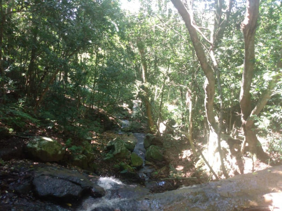Imóvel à Venda, 7.700 m² em Voluntária Baixa - Igrejinha