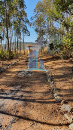 Imagem Imóvel com 6 Quartos à Venda, 30.000 m² em área Rural - Itaguara
