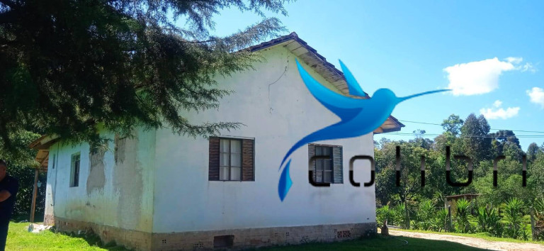 Imagem Chácara com 3 Quartos à Venda, 10.300 m² em Agua Clara - Quitandinha