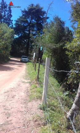 Imagem Terreno à Venda, 1.300 m² em Vila Capivari - Campos Do Jordão