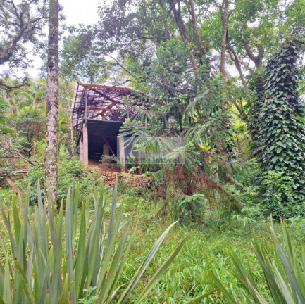 Imagem Casa de Condomínio com 3 Quartos à Venda, 500 m² em Granja Viana - Embu Das Artes Imagem Casa de Condomínio com 3 Quartos à Venda, 500 m² em Granja Viana - Embu Das Artes