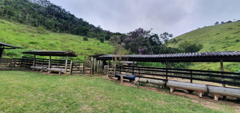 Imagem Fazenda à Venda, 400 m² em Pouso Altinho - Natividade Da Serra Imagem Fazenda à Venda, 400 m² em Pouso Altinho - Natividade Da Serra