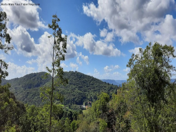 Imagem Terreno à Venda, 362 m² em Germânia - Nova Petrópolis Imagem Terreno à Venda, 362 m² em Germânia - Nova Petrópolis