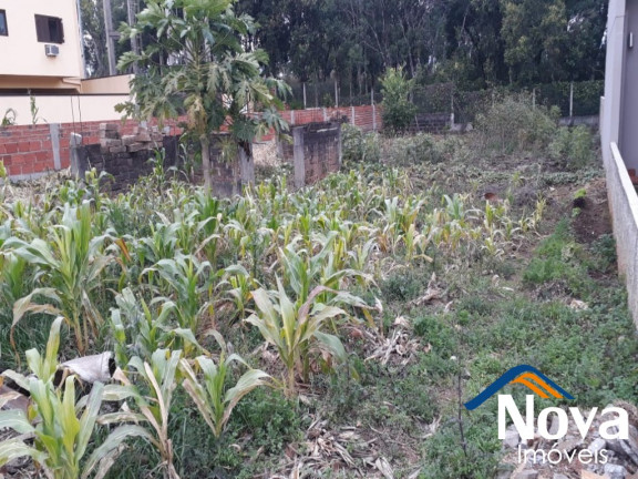 Imagem Imóvel à Venda, 448 m² em Pousada Da Neve - Nova Petrópolis
