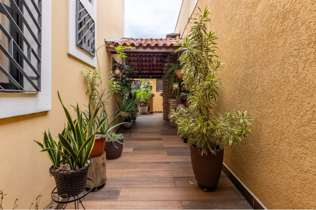 Imagem Sobrado com 3 Quartos à Venda, 198 m² em Conjunto Residencial Vista Verde - São Paulo Imagem Sobrado com 3 Quartos à Venda, 198 m² em Conjunto Residencial Vista Verde - São Paulo