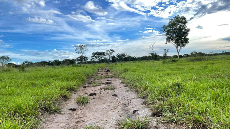 Imagem Fazenda à Venda, 500 m² em Zona Rural - Aliança Do Tocantins