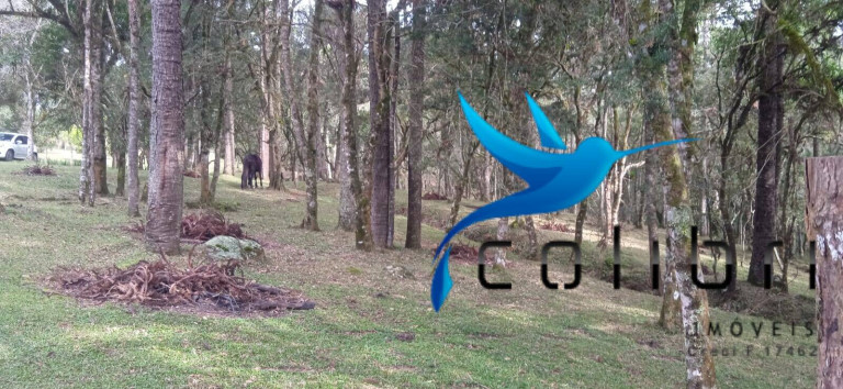 Imagem Chácara com 1 Quarto à Venda, 89.620 m² em Pedra Branca - Agudos Do Sul