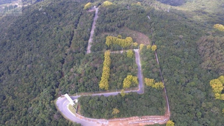 Imagem Terreno à Venda, 2.000 m² em Santo Antão - Bento Gonçalves Imagem Terreno à Venda, 2.000 m² em Santo Antão - Bento Gonçalves