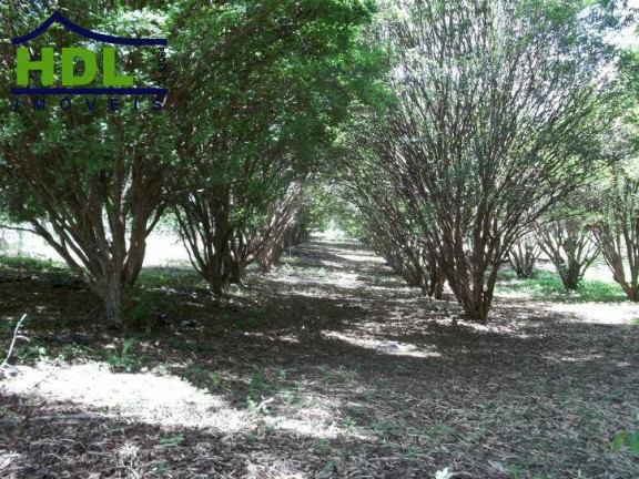 Imagem Chácara com 10 Quartos à Venda, 7 m² em Zona Rural - Hidrolândia