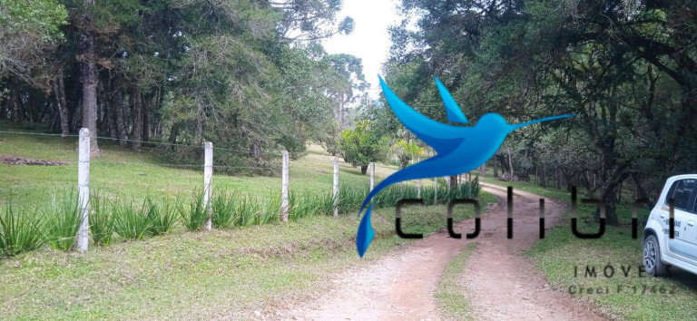 Imagem Chácara com 1 Quarto à Venda, 89.620 m² em Pedra Branca - Agudos Do Sul