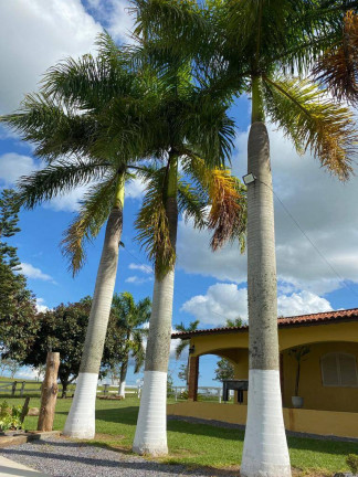 Imagem Chácara com 4 Quartos à Venda, 89 m² em Centro - Araçoiaba Da Serra Imagem Chácara com 4 Quartos à Venda, 89 m² em Centro - Araçoiaba Da Serra