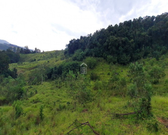 Imagem Imóvel à Venda, 6 m² em Cândido - Campestre