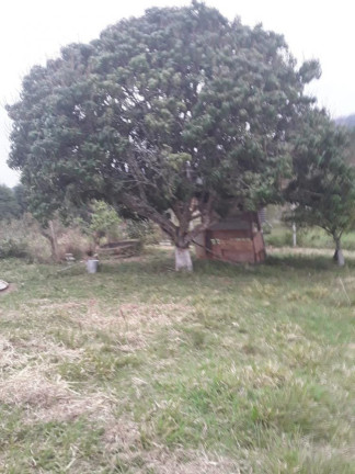 Imagem Imóvel com 2 Quartos à Venda, 1.500 m² em Caete (mailasqui) - São Roque Imagem Imóvel com 2 Quartos à Venda, 1.500 m² em Caete (mailasqui) - São Roque