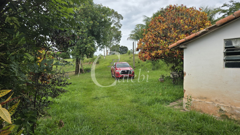 Imagem Chácara com 3 Quartos à Venda, 44.000 m² em Mato Seco - Mogi Guaçu