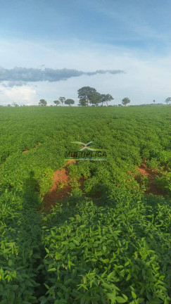 Imagem Fazenda à Venda, 623 m² em Carneirinho Imagem Fazenda à Venda, 623 m² em Carneirinho