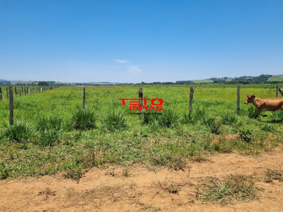 Imagem Imóvel à Venda, 175 m² em área Rural De Pouso Alegre - Pouso Alegre Imagem Imóvel à Venda, 175 m² em área Rural De Pouso Alegre - Pouso Alegre