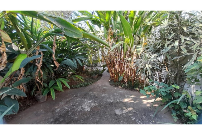 Imagem Casa com 3 Quartos à Venda, 140 m² em Planalto Paulista - São Paulo