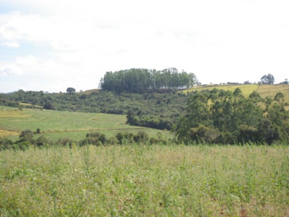 Imagem Imóvel à Venda, 435.600 m² em Zona Rural - Jacui Imagem Imóvel à Venda, 435.600 m² em Zona Rural - Jacui