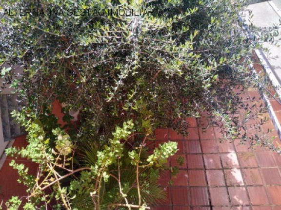 Imagem Casa com 3 Quartos à Venda, 140 m² em Jardim Bonfiglioli - São Paulo