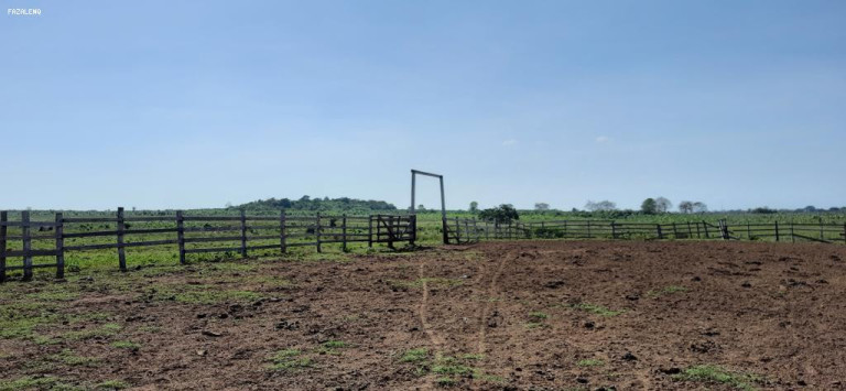 Imagem Fazenda à Venda, 1.400 m² em Alenquer Imagem Fazenda à Venda, 1.400 m² em Alenquer