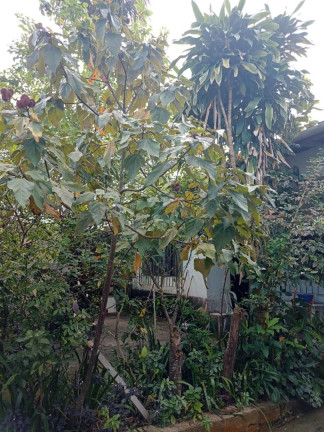 Imagem Casa com 2 Quartos à Venda, 250 m² em Vera Cruz - Mongaguá