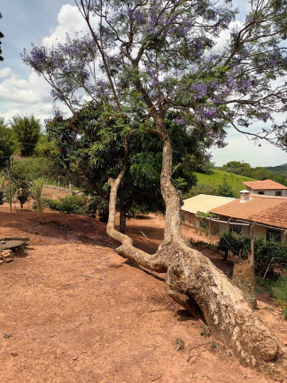 Imagem Chácara com 2 Quartos à Venda, 120 m² em água Comprida - Bragança Paulista