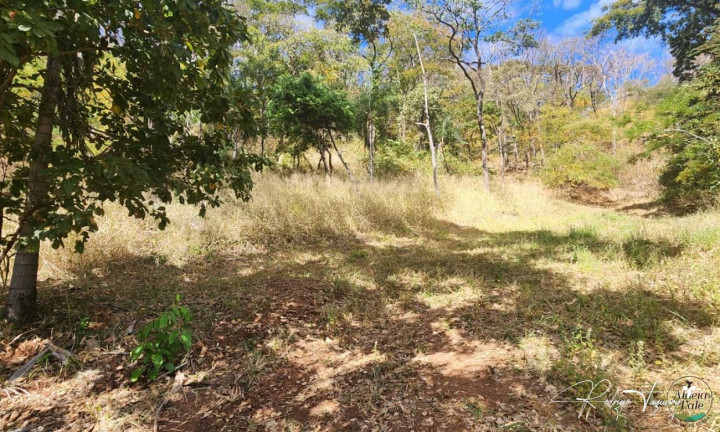 Imagem Terreno à Venda, 5.296 m² em Residencial Aldeia Do Vale - Goiânia Imagem Terreno à Venda, 5.296 m² em Residencial Aldeia Do Vale - Goiânia