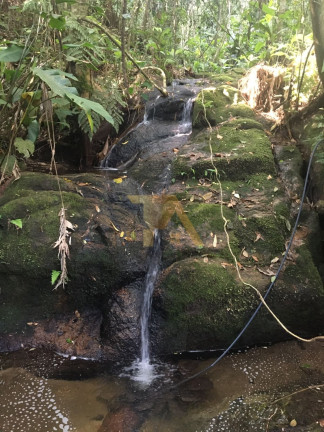 Imagem Fazenda à Venda, 15 m² em Laranjal - Imaruí Imagem Fazenda à Venda, 15 m² em Laranjal - Imaruí